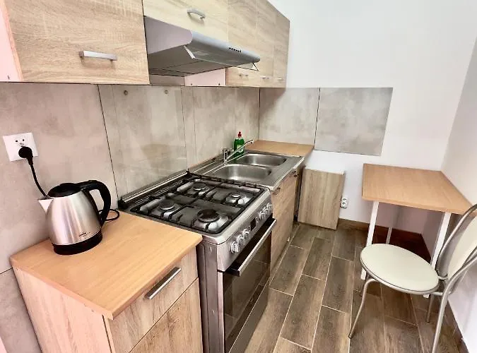 Apartament 4 Osobowy Obok Szpitala Brzeziny 2 Pokoje Prywatna Lazienka I Kuchnia 32M2